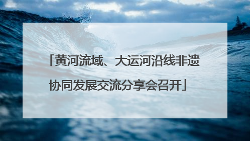 黄河流域、大运河沿线非遗协同发展交流分享会召开
