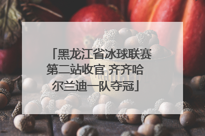 黑龙江省冰球联赛第二站收官 齐齐哈尔兰迪一队夺冠