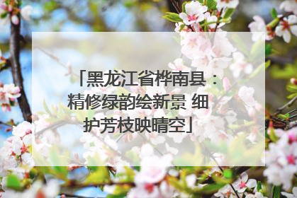 黑龙江省桦南县：精修绿韵绘新景 细护芳枝映晴空