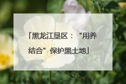 黑龙江垦区：“用养结合”保护黑土地