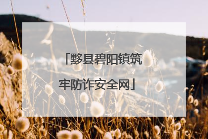 黟县碧阳镇筑牢防诈安全网