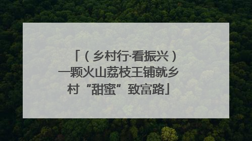 （乡村行·看振兴）一颗火山荔枝王铺就乡村“甜蜜”致富路