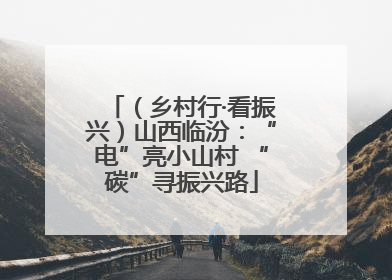 （乡村行·看振兴）山西临汾：“电”亮小山村 “碳”寻振兴路