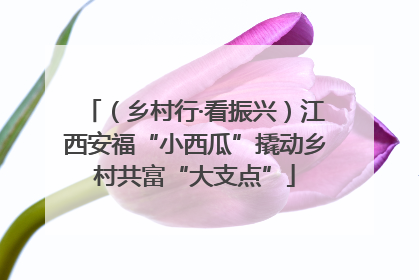 （乡村行·看振兴）江西安福“小西瓜”撬动乡村共富“大支点”