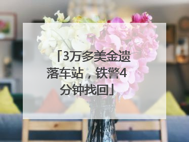 3万多美金遗落车站，铁警4分钟找回