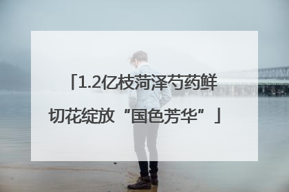 1.2亿枝菏泽芍药鲜切花绽放“国色芳华”