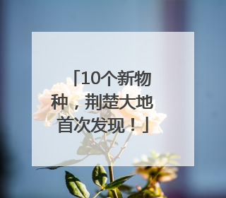 10个新物种，荆楚大地首次发现！