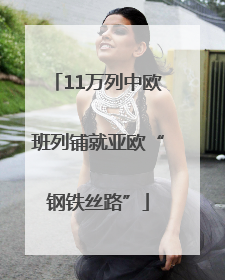 11万列中欧班列铺就亚欧“钢铁丝路”