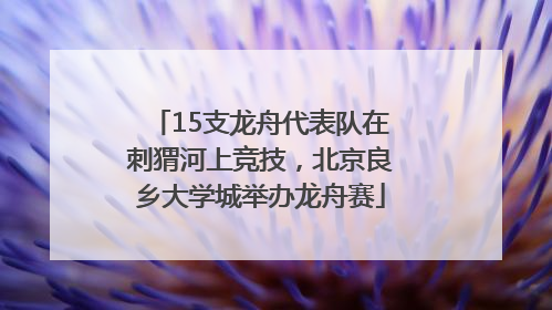 15支龙舟代表队在刺猬河上竞技，北京良乡大学城举办龙舟赛