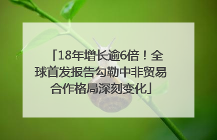 18年增长逾6倍！全球首发报告勾勒中非贸易合作格局深刻变化