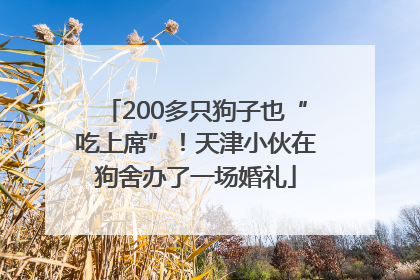 200多只狗子也“吃上席”！天津小伙在狗舍办了一场婚礼