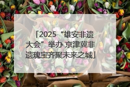 2025“雄安非遗大会”举办 京津冀非遗瑰宝齐聚未来之城
