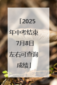 2025年中考结束 7月8日左右可查询成绩