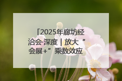 2025年廊坊经洽会·深度｜放大“会展+”乘数效应 打造消费新场景