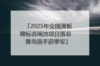 2025年全国滑板锦标赛碗池项目落幕 青岛选手获季军