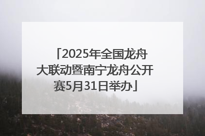 2025年全国龙舟大联动暨南宁龙舟公开赛5月31日举办