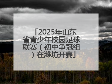 2025年山东省青少年校园足球联赛（初中争冠组）在潍坊开赛