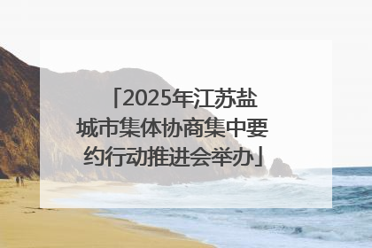2025年江苏盐城市集体协商集中要约行动推进会举办