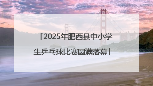 2025年肥西县中小学生乒乓球比赛圆满落幕
