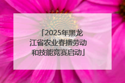 2025年黑龙江省农业春播劳动和技能竞赛启动