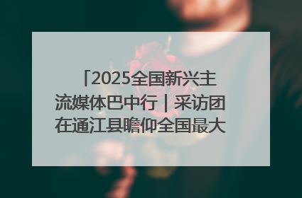 2025全国新兴主流媒体巴中行｜采访团在通江县瞻仰全国最大红军烈士陵园