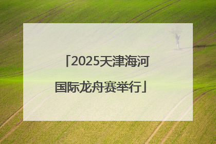 2025天津海河国际龙舟赛举行