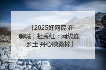 2025好网民·在聊城｜杜秀红：网线连乡土 丹心映桑梓