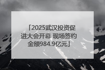 2025武汉投资促进大会开幕 现场签约金额984.9亿元
