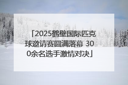 2025鹤壁国际匹克球邀请赛圆满落幕 300余名选手激情对决