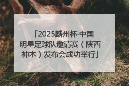 2025麟州杯·中国明星足球队邀请赛（陕西神木）发布会成功举行