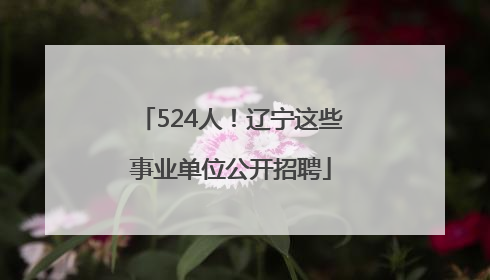 524人！辽宁这些事业单位公开招聘