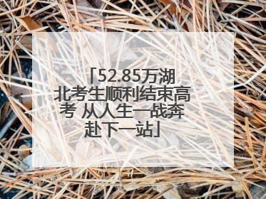 52.85万湖北考生顺利结束高考 从人生一战奔赴下一站