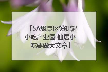 5A级景区镇建起小吃产业园 仙居小吃要做大文章