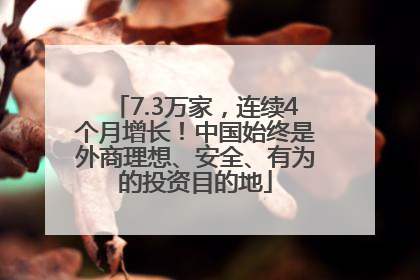 7.3万家，连续4个月增长！中国始终是外商理想、安全、有为的投资目的地