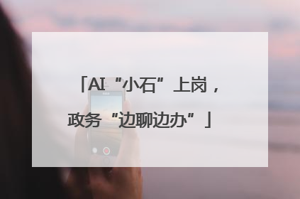 AI“小石”上岗，政务“边聊边办”