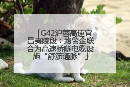 G42沪蓉高速宜昌夷陵段：路警企联合为高速桥隧电缆设施“舒筋通脉”