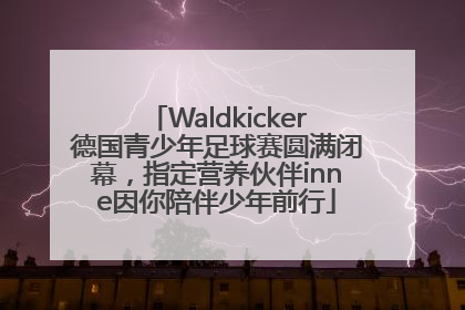 Waldkicker德国青少年足球赛圆满闭幕，指定营养伙伴inne因你陪伴少年前行